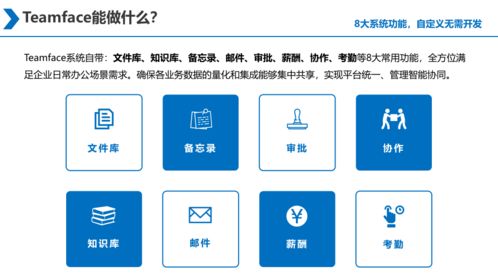 大型集团企业应购买企业信息化系统源代码进行二次开发吗？——信息安全视角下的深度解析