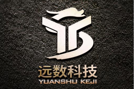 技术服务,技术开发,技术咨询,技术交流,技术转让,技术推广;信息系统